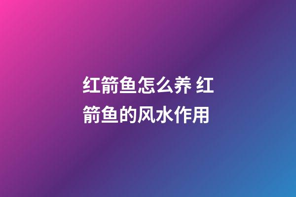 红箭鱼怎么养 红箭鱼的风水作用